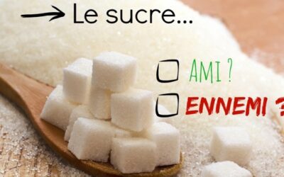 Le sucre, le diabète, le régime cétogène, ami ou ennemi ?