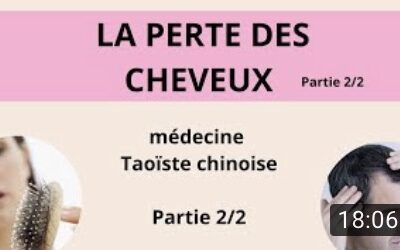 Vision de la médecine chinoise: stopper la perte des cheveux – Partie 2/2