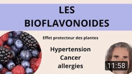 les flavonoides remède miracle de la nature, aussi dans vos assiettes !