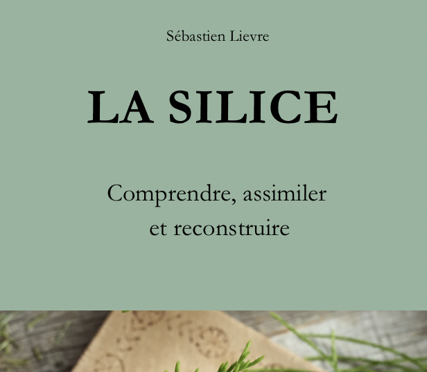 Version electronique La silice